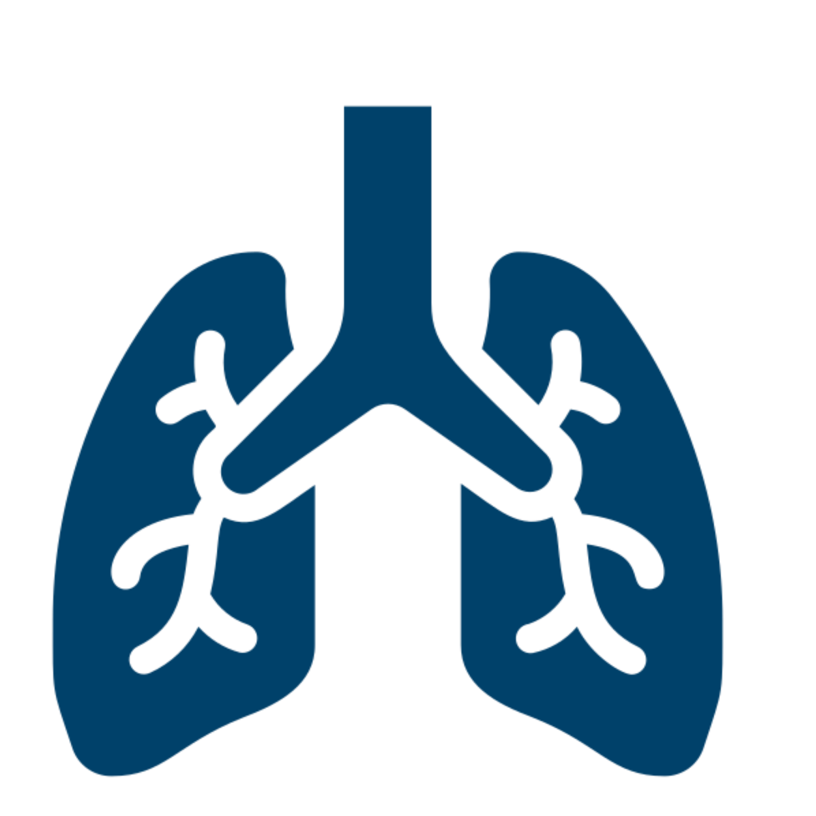 Pulmonology & Respiratory Care
