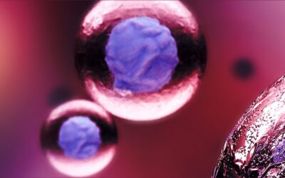 What Is A Bone Marrow Transplant (BMT)?
