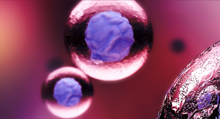 What Is A Bone Marrow Transplant (BMT)